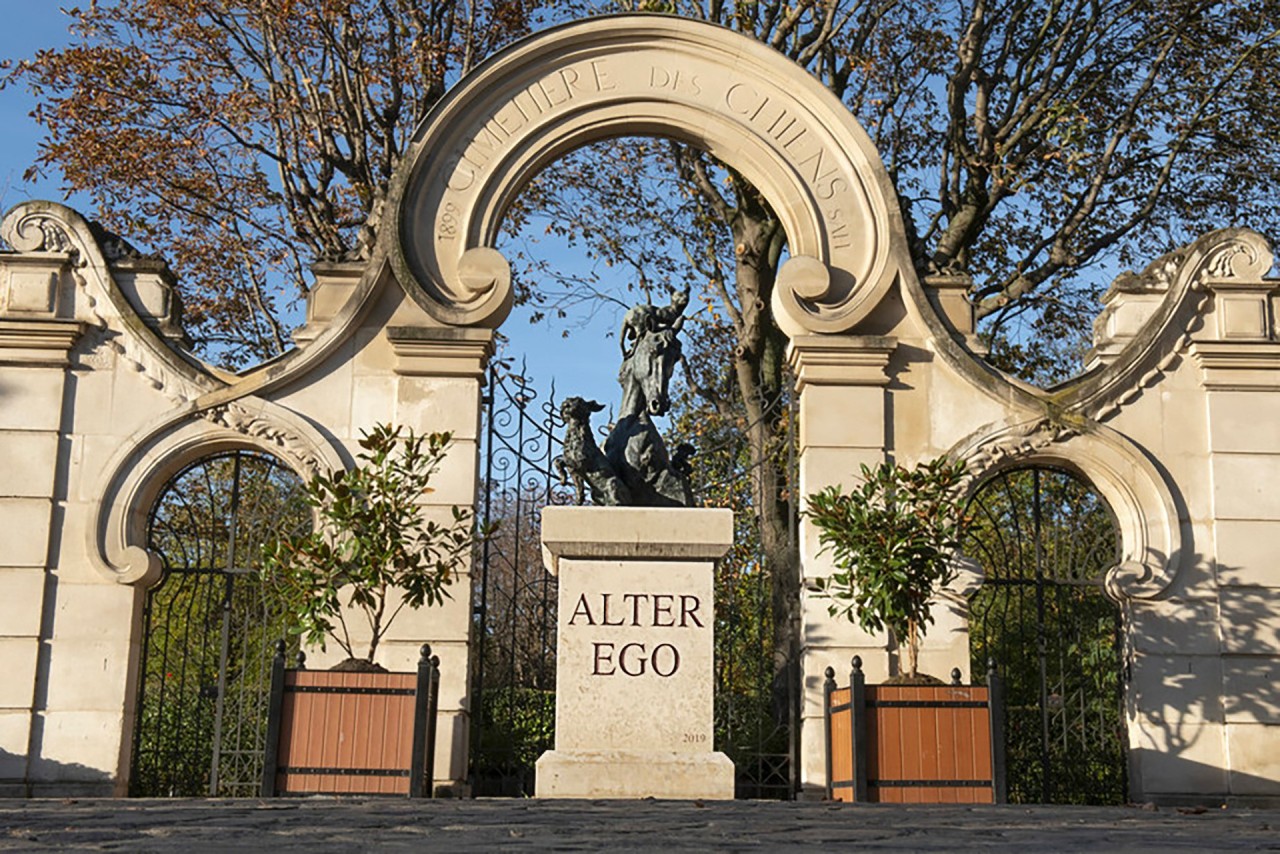 Mairie Asnières-sur-Seine x Aurèle